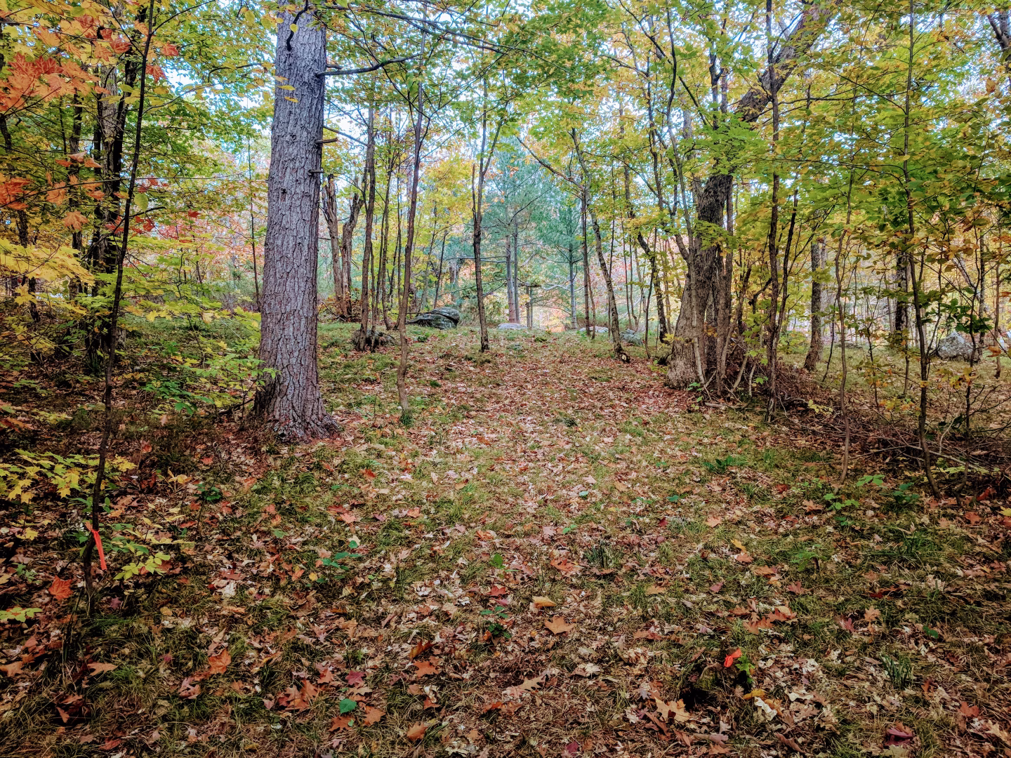 Short Track Hole