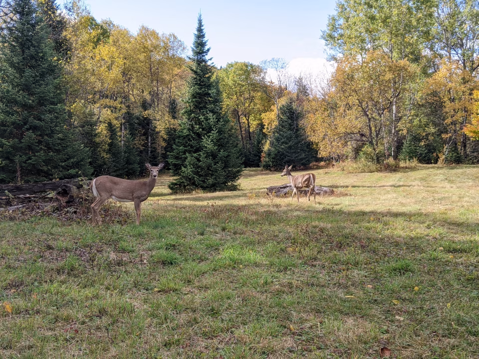 Disc Golf at Parks and Conservation Areas