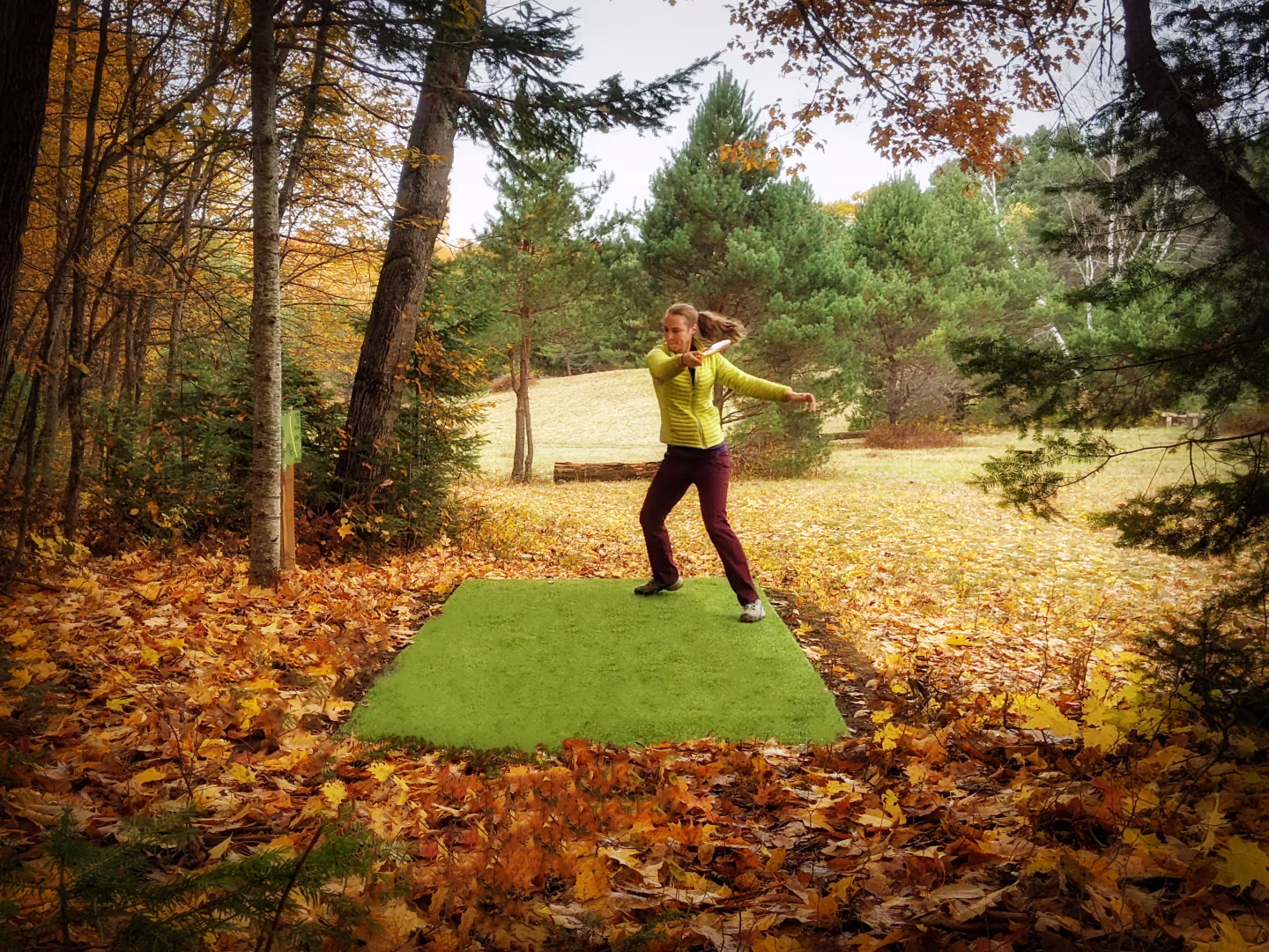 Championship Disc Golf Courses